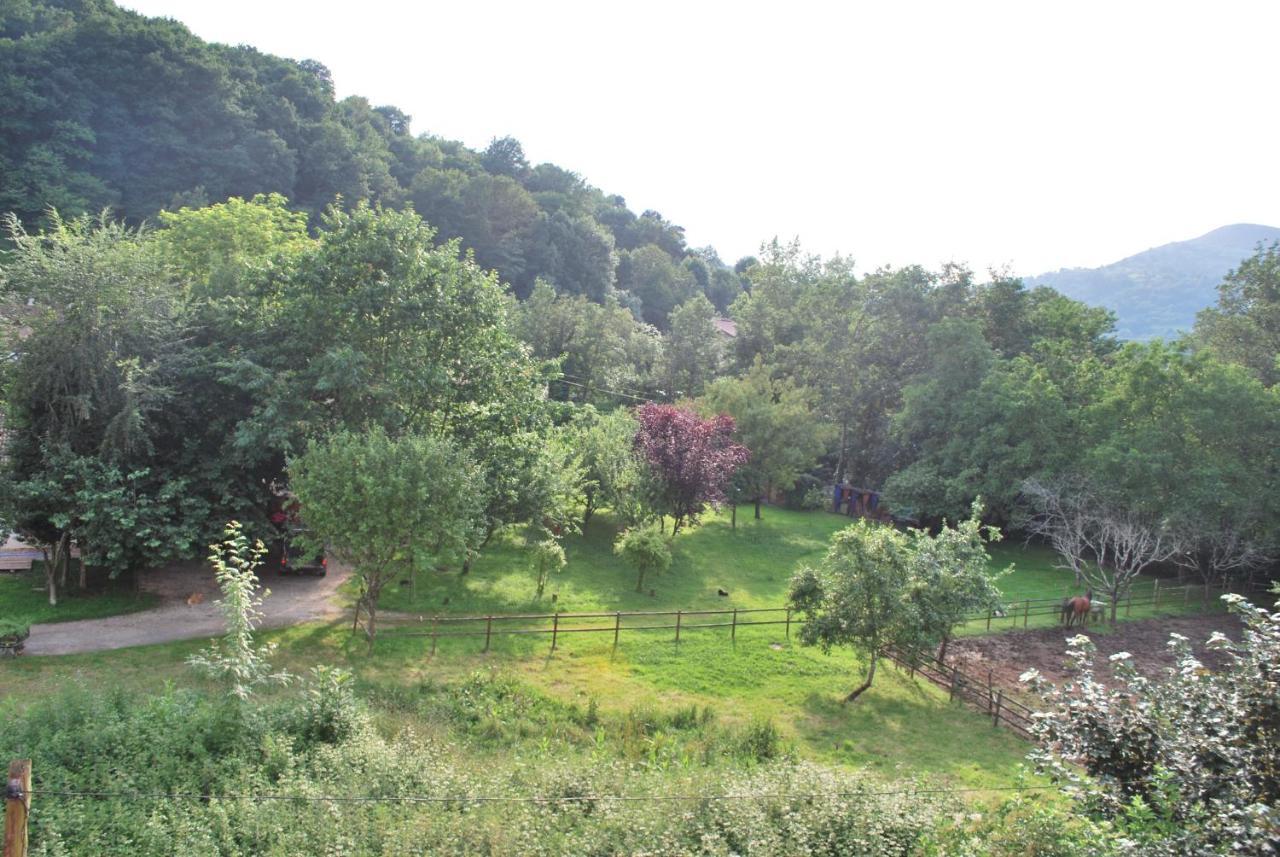 Apartamento Rural Lago Ercina Apartment Cangas de Onis Bagian luar foto