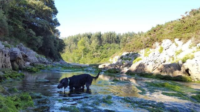 Apartamento Rural Lago Ercina Apartment Cangas de Onis Bagian luar foto